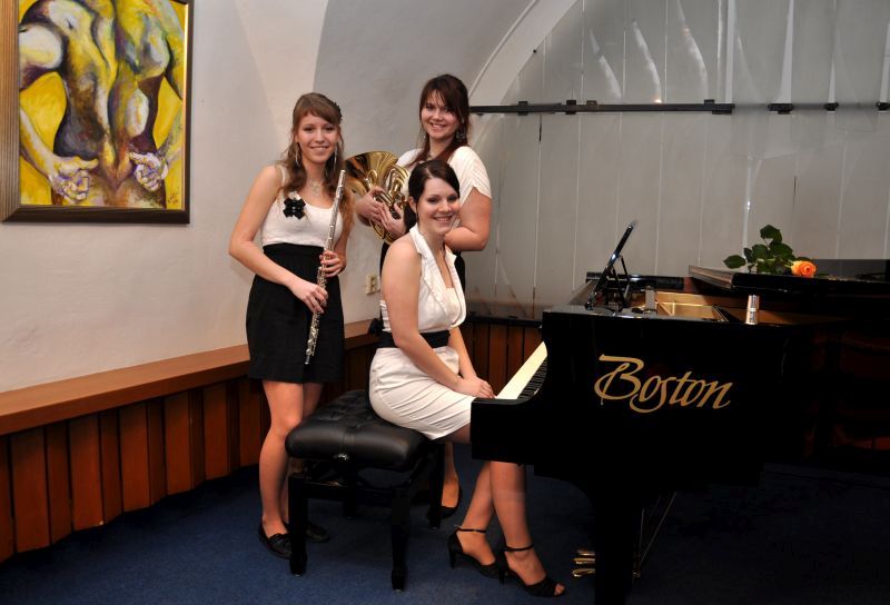 Koncert mladých talentů „Když hvězdy vycházejí“ 21. 2. 2013